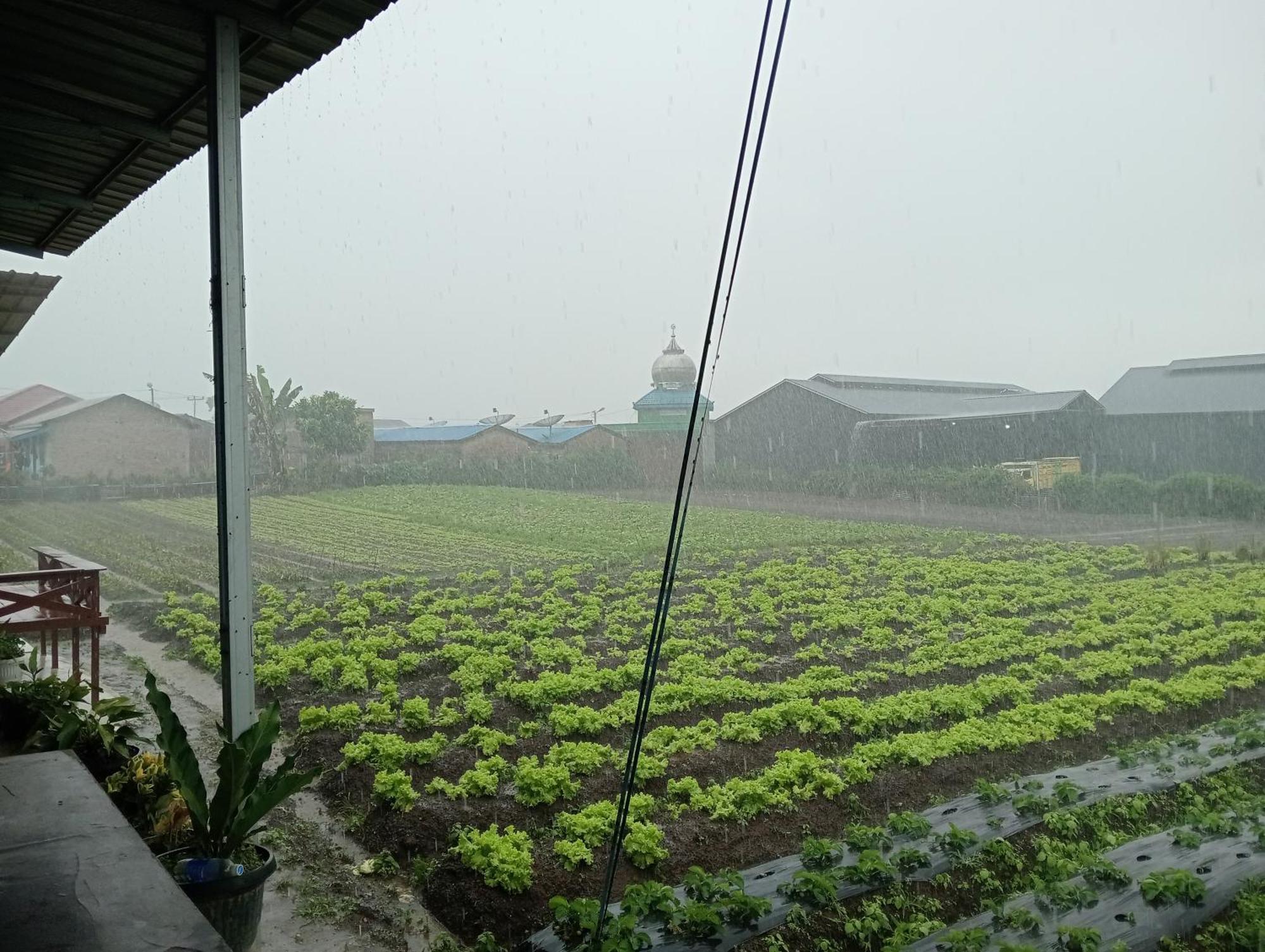 Vulkaan Homestay Berastagi Exterior photo